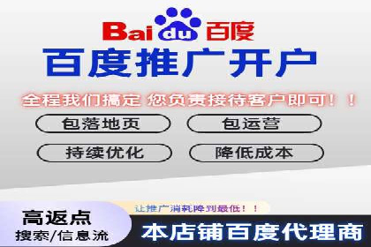 某企业通过百度广告实现品牌提升的历程